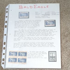 Bald Eagle Home Design Stamp Set